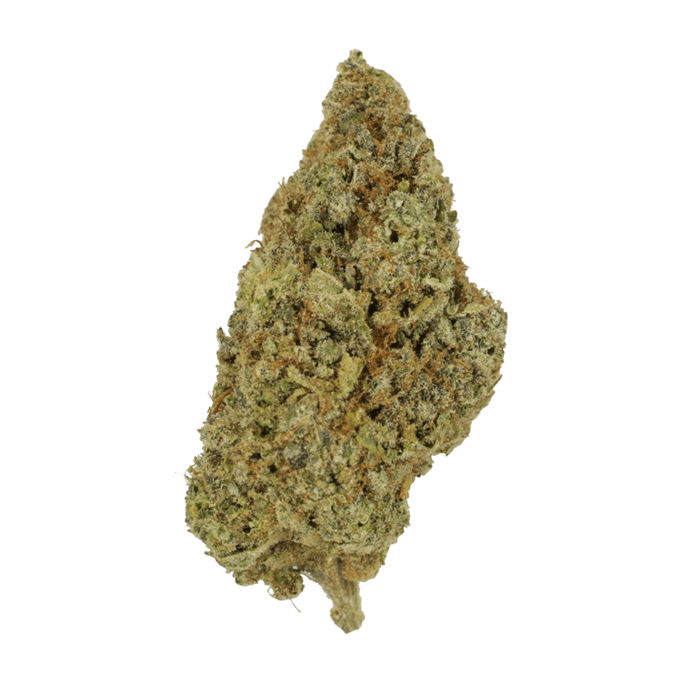 Grass---GM..15-10-20 GrassLife GM