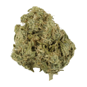 GrassLife - Moby Dick