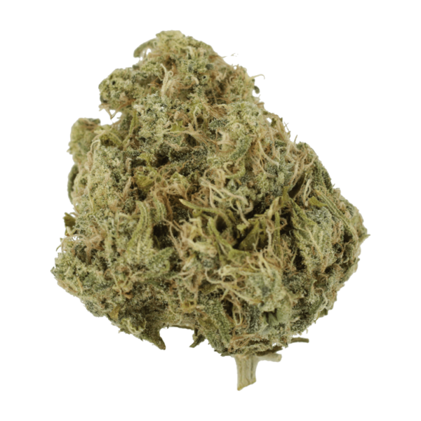 GrassLife - Moby Dick