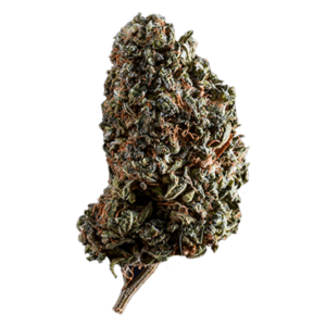 GrassLife - Uk cheese