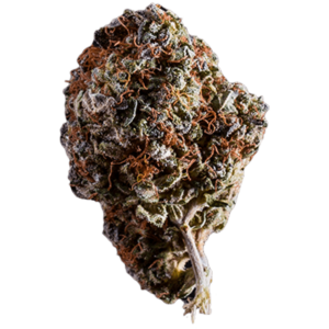 White Widow