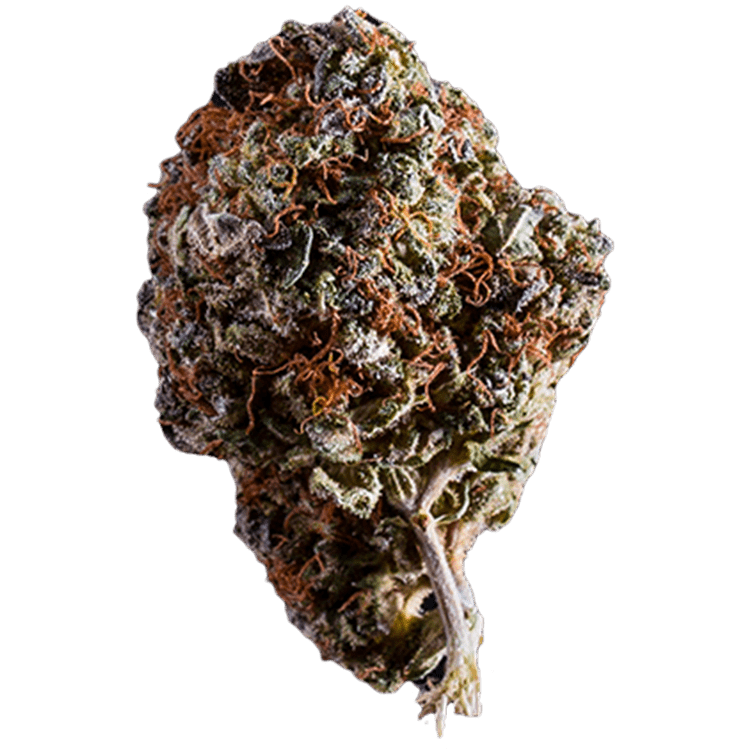 whitewidow White Widow