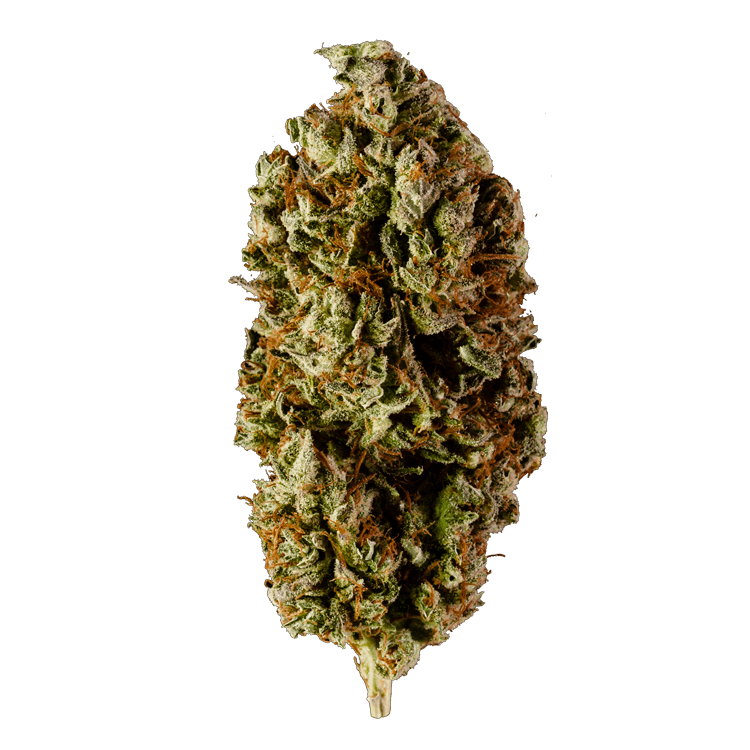 grass_flower_mango-haze
