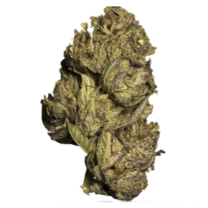 Grass Flower Skywalker Alien