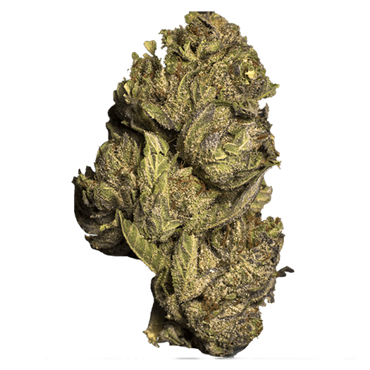 grass_flower_skywalker-alien Grass Flower Skywalker Alien