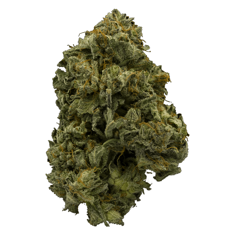 grass-flower-blackdiamond