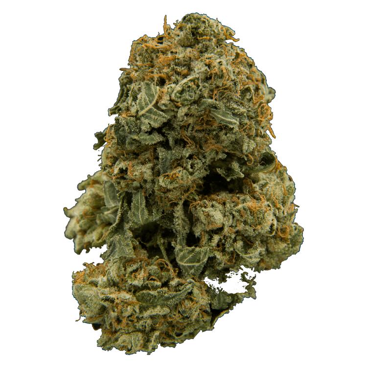 grass-flower-iced_widow