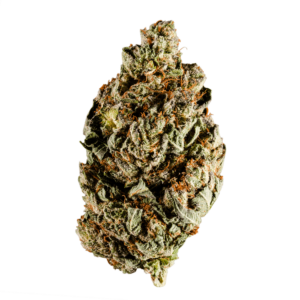grass-flower-orange_cookies