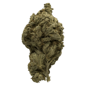 grass-flower-oro_blanca