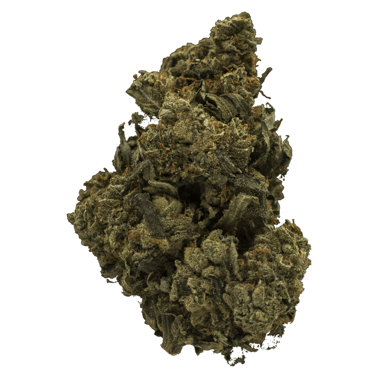 Grass - Jack Herer Grass Jack Herer