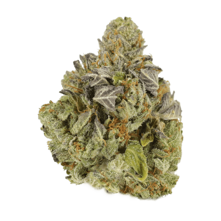 Grass---Sugar-Mama..13-09-21 Grass - Sugar Mama