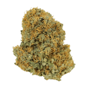 GrassLife - White Durban