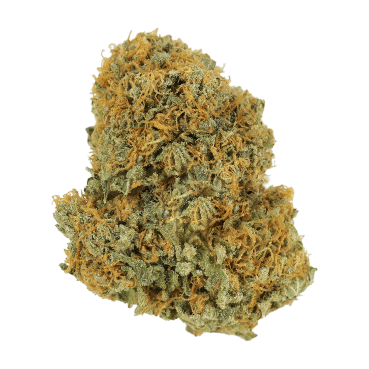 GrassLife - White Durban