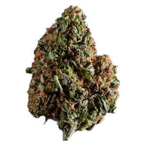 grass-flower-lindsayog