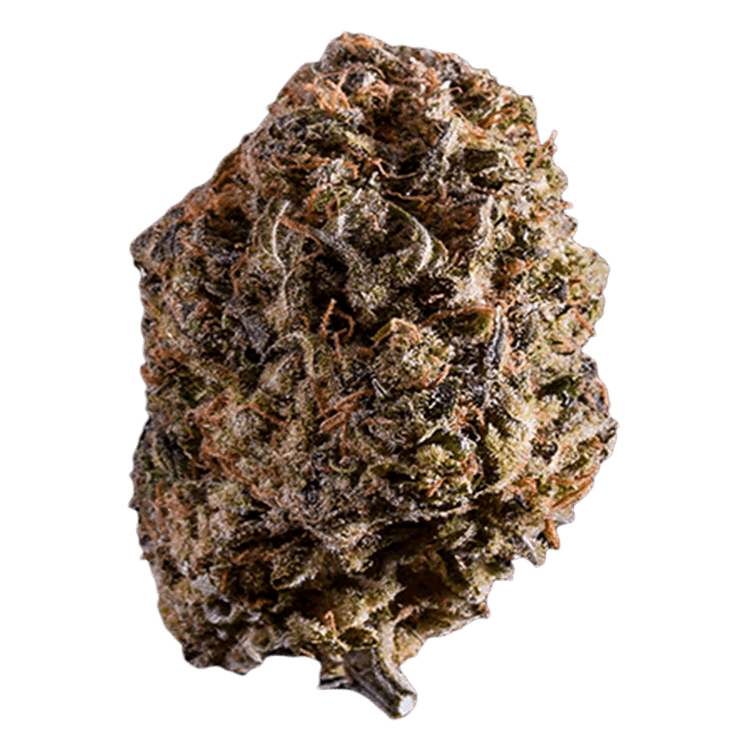 grass-flower-orange_romulan