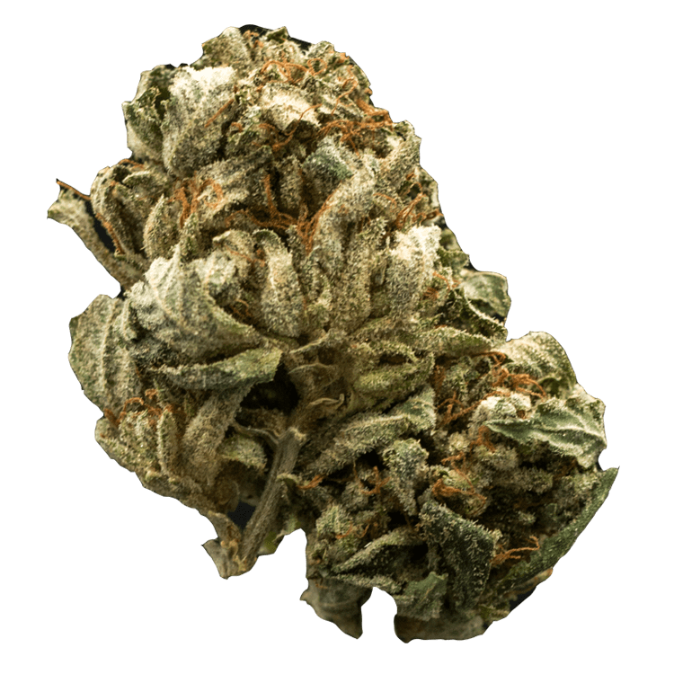 grass_flower_chemdog grass_flower_chemdog