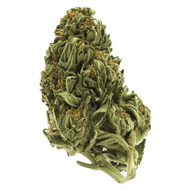 Chem fire – 1 ounce