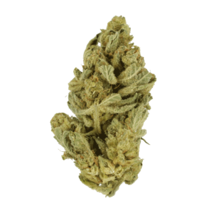 GrassLife - Hindhu Kush