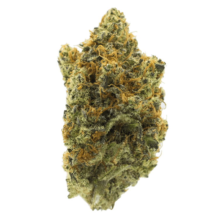 Grass - Peyote Grass - Peyote