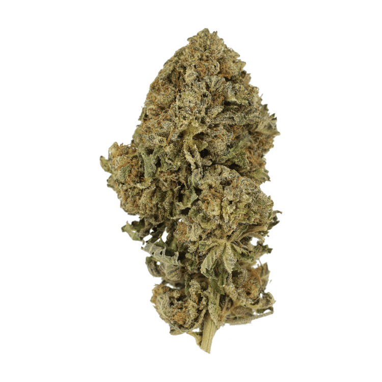GrassLife - Black Diamond