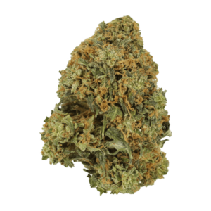 Grass - Durban