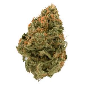 Grass - Durban Poison