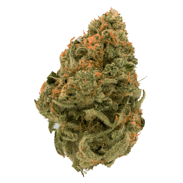 Grass - Durban Poison