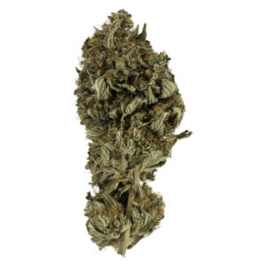 GrassLife - Holly Weed