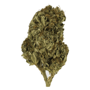 GrassLife - Jesus OG