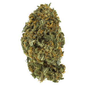 GrassLife - Night Nurse