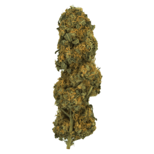 GrassLife - Orange Crush