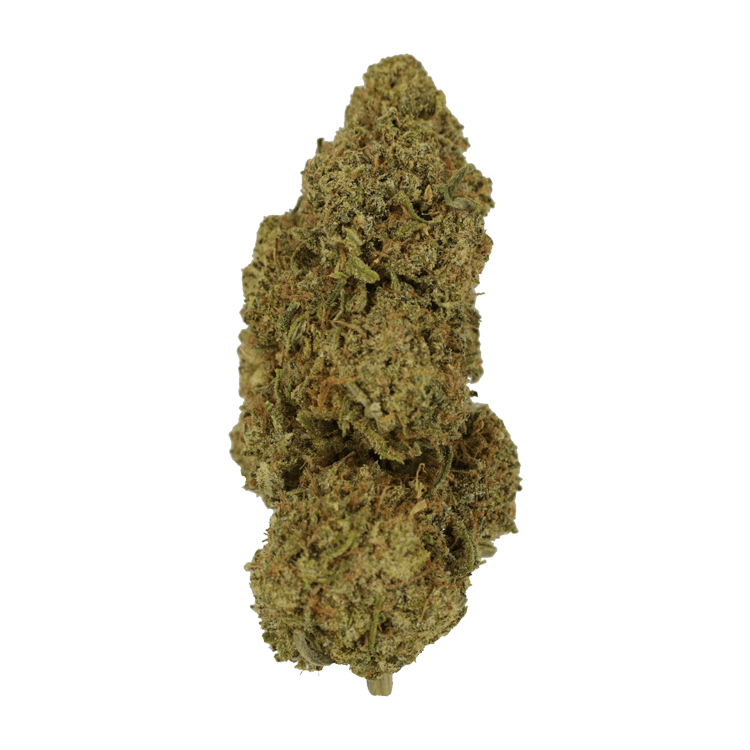 Grass---Grandaddy..26-01-21 GrassLife - Grandaddy