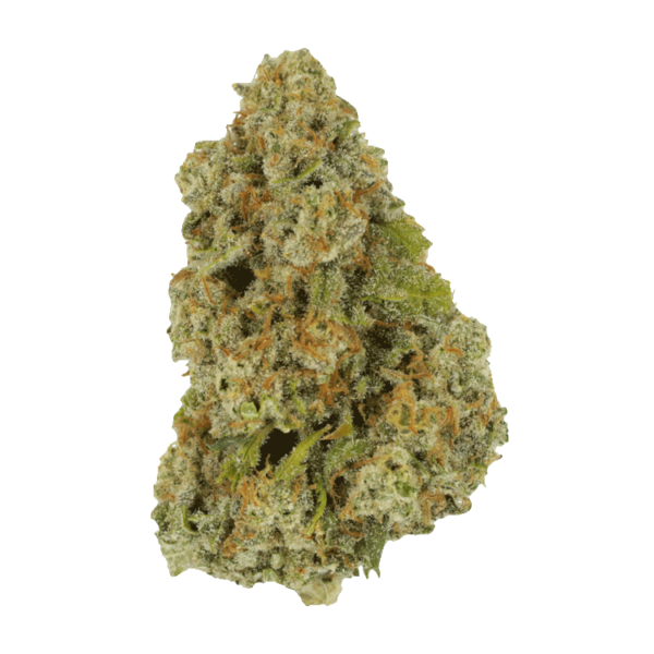 Colorado Diesel