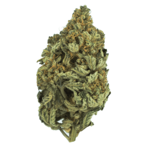 Grass - Baker Street