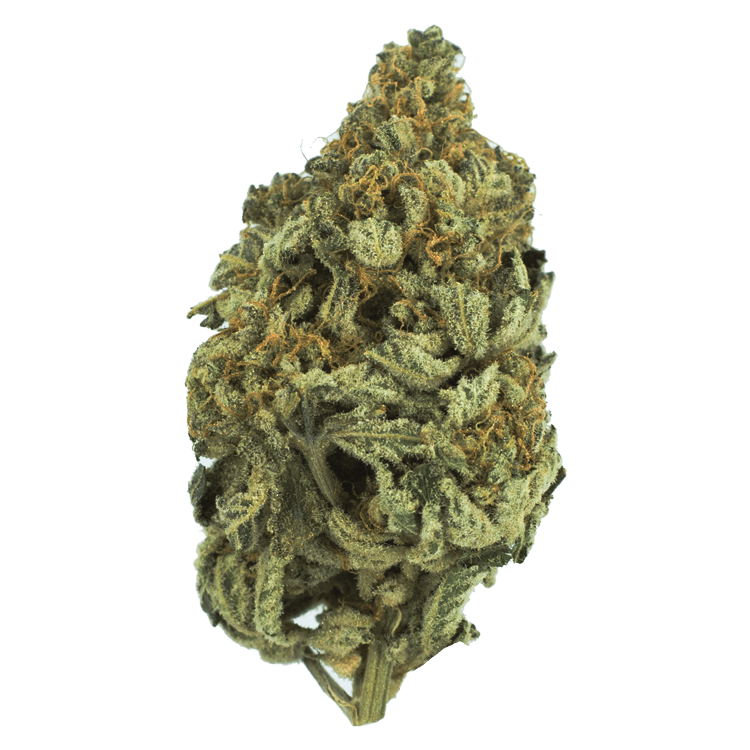 Grass - Baker Street