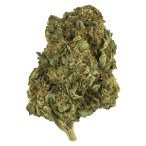 GrassLife Bubba Kush
