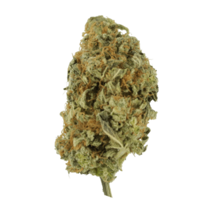 GrassLife Lolipop