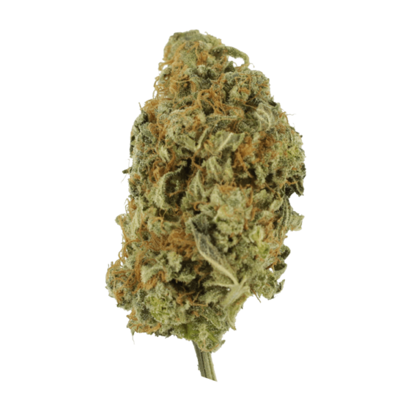 GrassLife Lolipop
