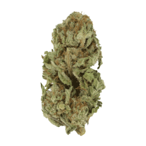 GrassLife - Golden Goat