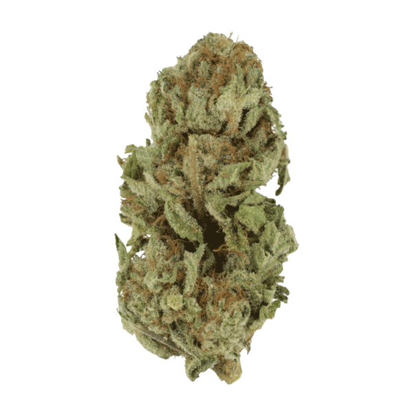 GrassLife - Golden Goat