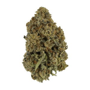 Grass - Animal Cookies