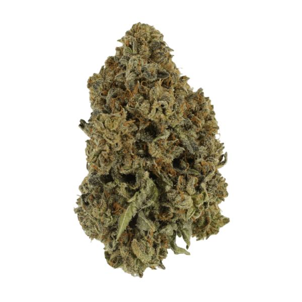 Grass - Animal Cookies