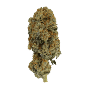 Grass Blackberry Platinum