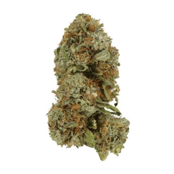 GrassLife Mango