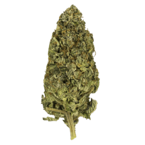 GrassLife - Master Kushu