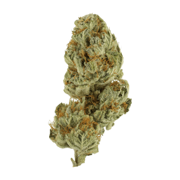 GrassLife - Strawberry Glue