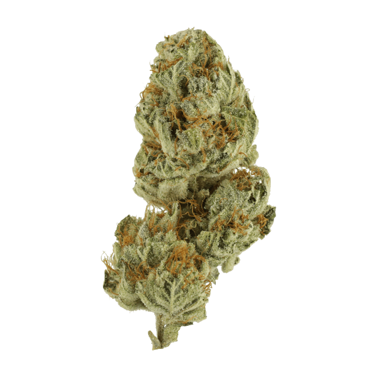 GrassLife - Strawberry Glue