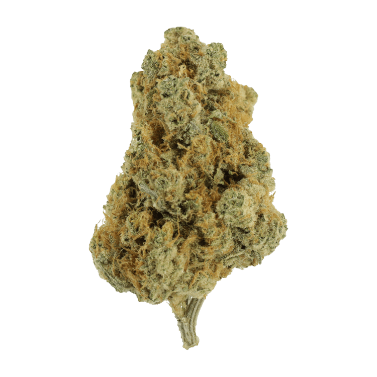 White Cookies GrassLife - WHite Cookies