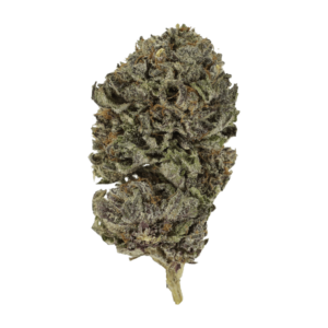 Grass - Purple Skunk