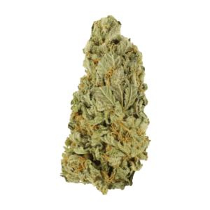 redcongo
